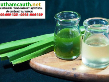 Cách để lá dứa trong nhà vệ sinh khử mùi hiệu quả nhất