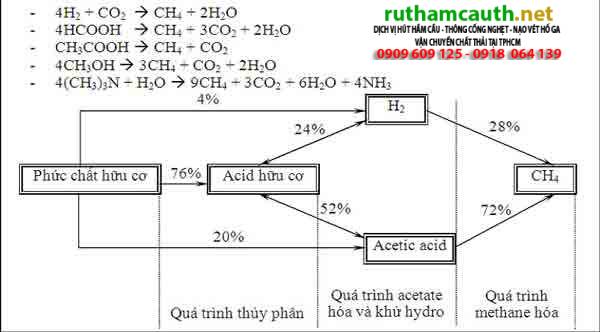 Tìm hiểu Bể UASB là gì? Cấu tạo và quá trình xử lý kỵ khí