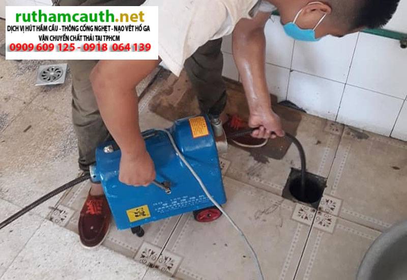 Các loại côn trùng trong nhà vệ sinh? Ngăn chặn triệt để?