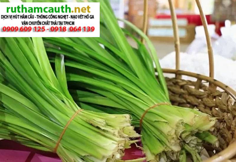 Cách để lá dứa trong nhà vệ sinh khử mùi hiệu quả nhất