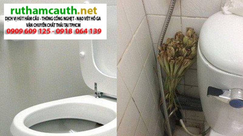 Cách để lá dứa trong nhà vệ sinh khử mùi hiệu quả nhất