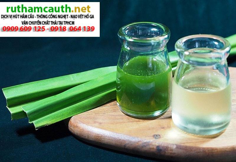 Cách để lá dứa trong nhà vệ sinh khử mùi hiệu quả nhất