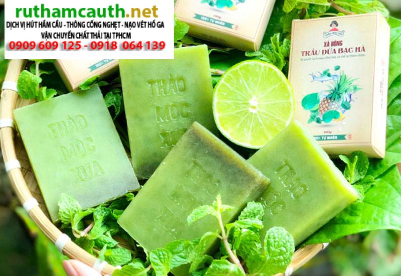 Cách để lá dứa trong nhà vệ sinh khử mùi hiệu quả nhất