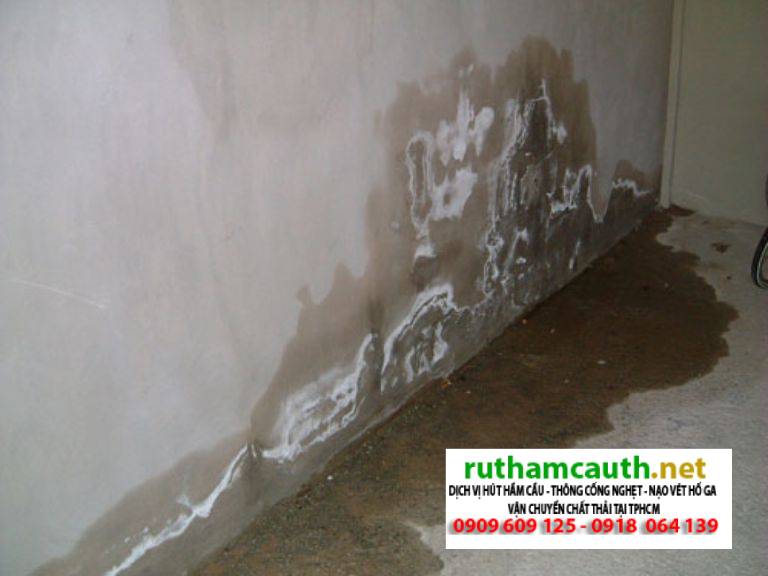 Cách Xử Lý Bể Phốt Bị Rò Rỉ Nước, Nguyên Nhân Gây Nứt, Ngấm