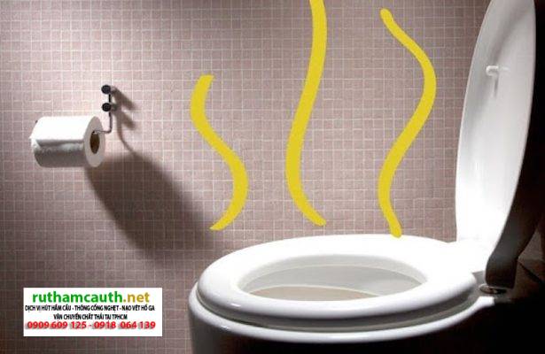 Chất thải hầm cầu