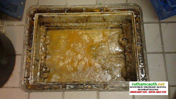 Chất thải hầm cầu