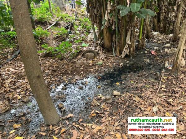 Chất thải hầm cầu