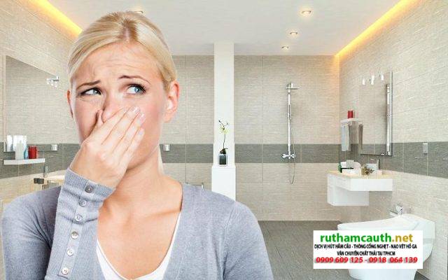 Chất thải hầm cầu