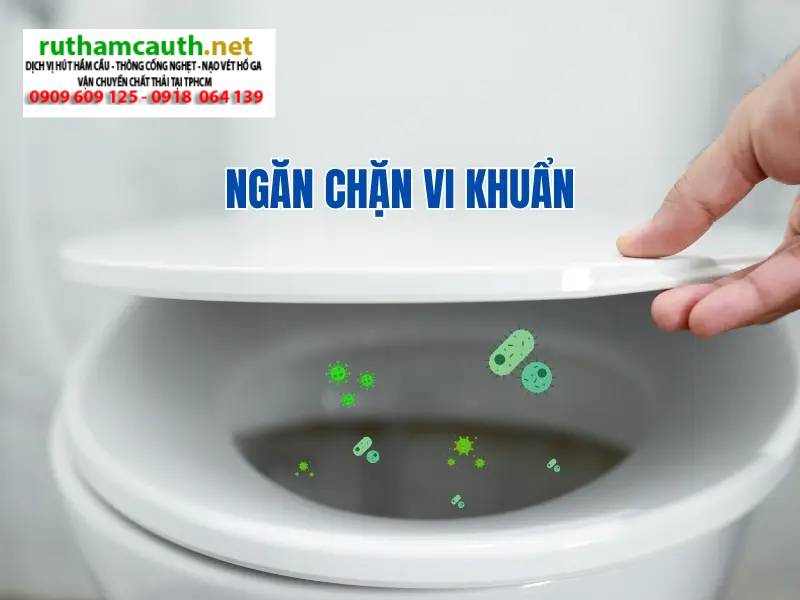 Công dụng của nắp bồn cầu rất hữu ích có thể bạn chưa biết