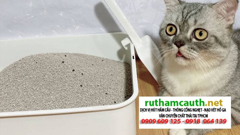 Để toilet không bị nghẹt bạn không nên xả 5 vật này vào bồn cầu