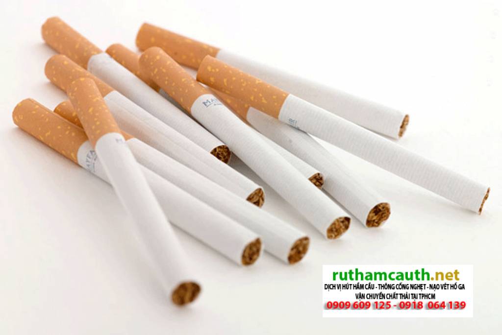 Để toilet không bị nghẹt bạn không nên xả 5 vật này vào bồn cầu