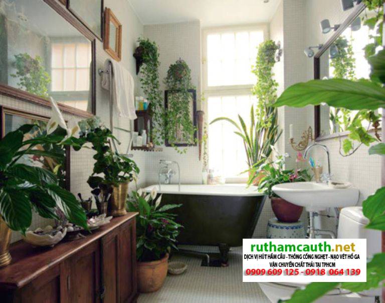 Hầm Cầu Bị Hôi: Nguyên nhân, 7 Cách xử lý hiệu quả sau 5 phút