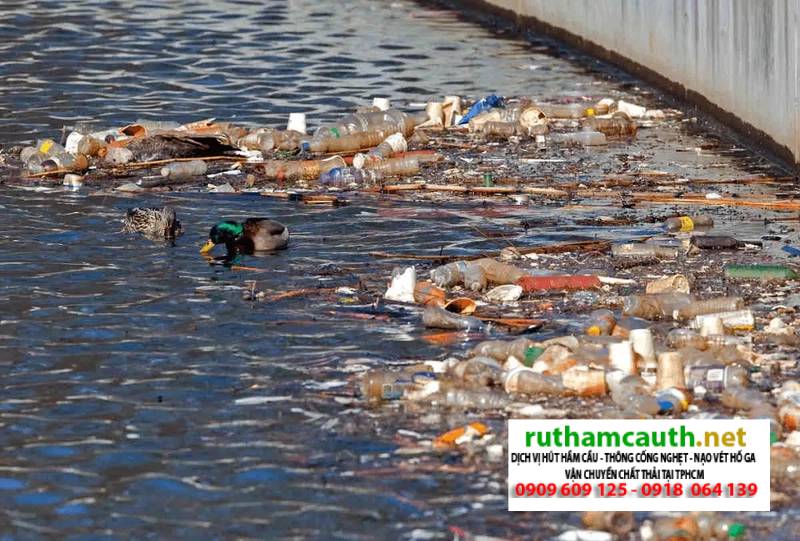 Nguyên Nhân, Hậu Quả Ô Nhiễm Nước Và Giải Pháp