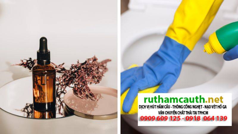 Xử lý mùi hôi nhà vệ sinh, Bồn cầu tại Phường Thới Hòa